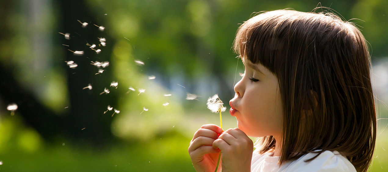 Child Blowing Dandelion Stock